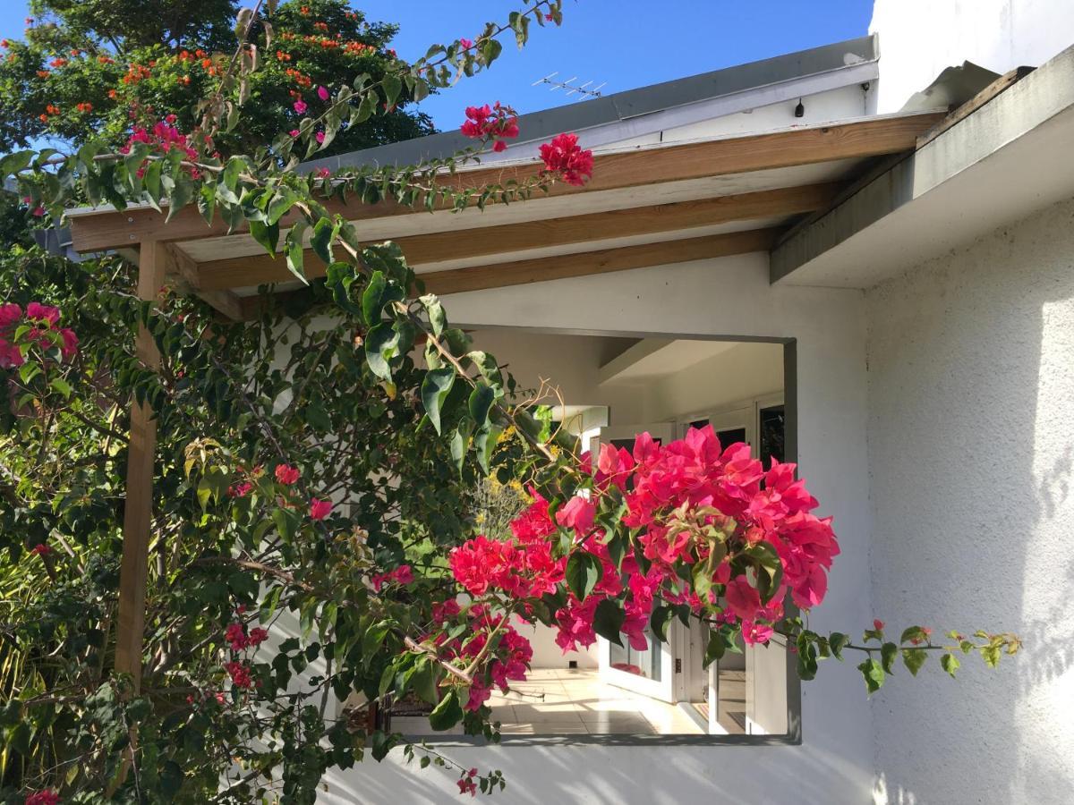 Ancella'S Garden Apartment-Beach-5Min Drive, 1 Hr Montego Bay, 25 Mins Ocho Rios, Continental Breakfast 拉纳韦贝 外观 照片