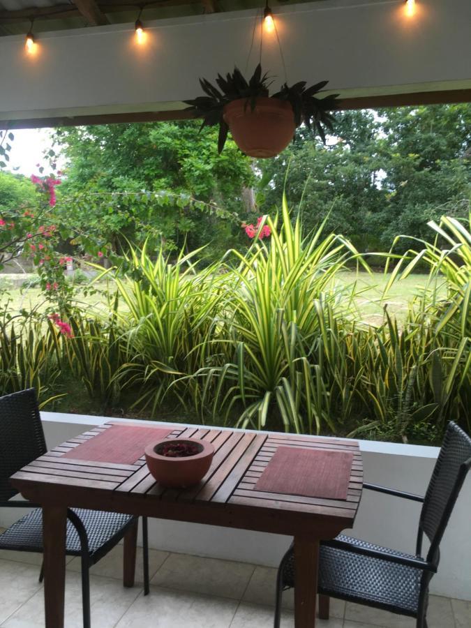 Ancella'S Garden Apartment-Beach-5Min Drive, 1 Hr Montego Bay, 25 Mins Ocho Rios, Continental Breakfast 拉纳韦贝 外观 照片
