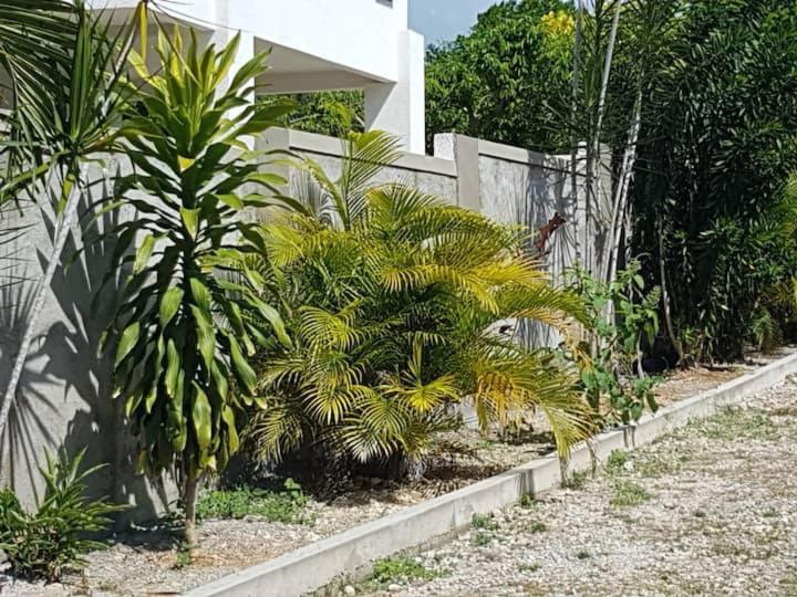 Ancella'S Garden Apartment-Beach-5Min Drive, 1 Hr Montego Bay, 25 Mins Ocho Rios, Continental Breakfast 拉纳韦贝 外观 照片