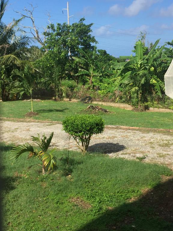 Ancella'S Garden Apartment-Beach-5Min Drive, 1 Hr Montego Bay, 25 Mins Ocho Rios, Continental Breakfast 拉纳韦贝 外观 照片